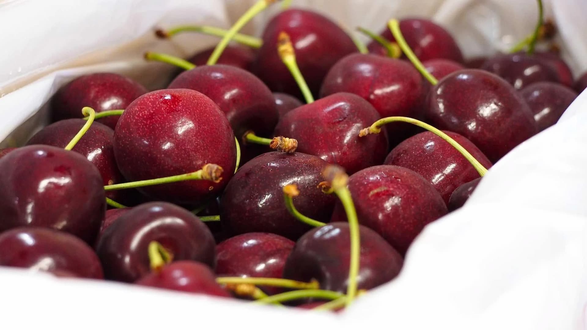 Our commitment to quality